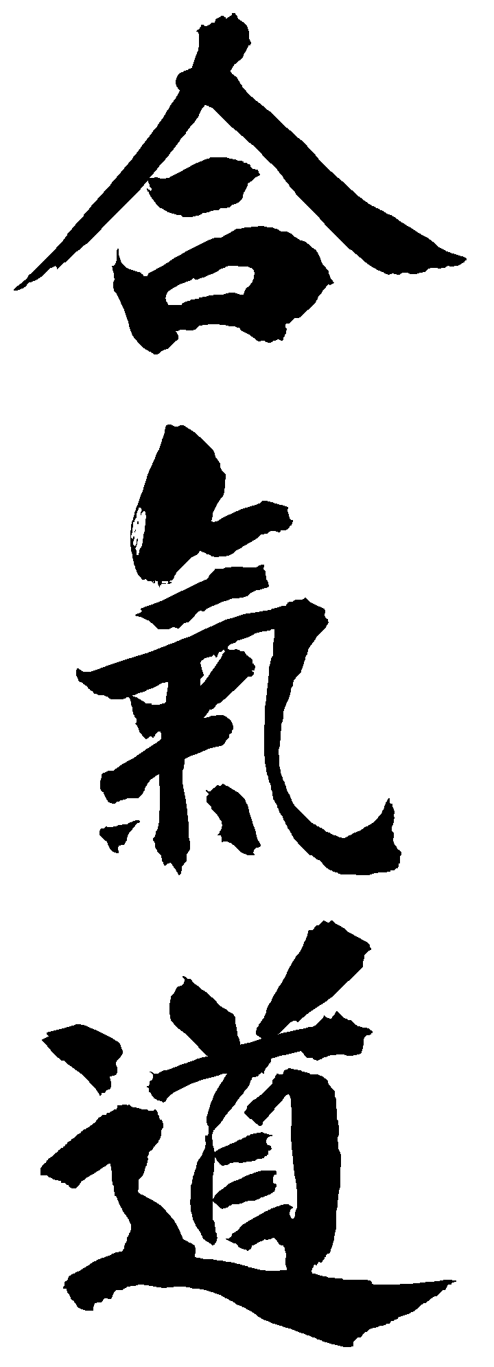 Aikido Kanji